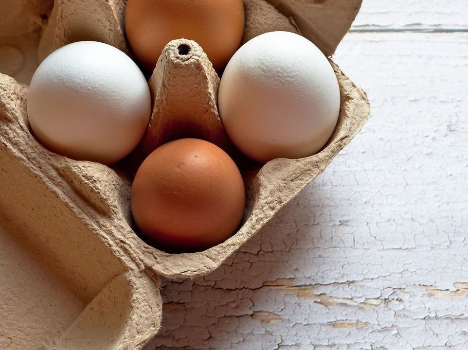 tojás, tojástartó, egészséges tojás