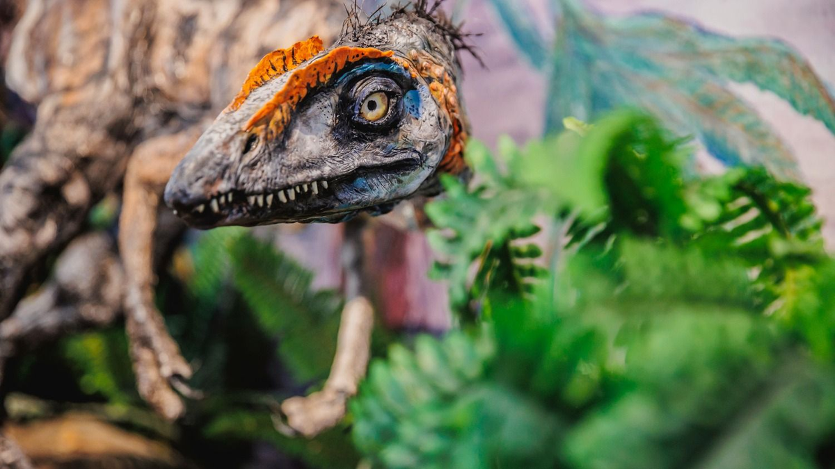 Komlóverzum: fantasztikus Jurassic Park nyílt Komlón