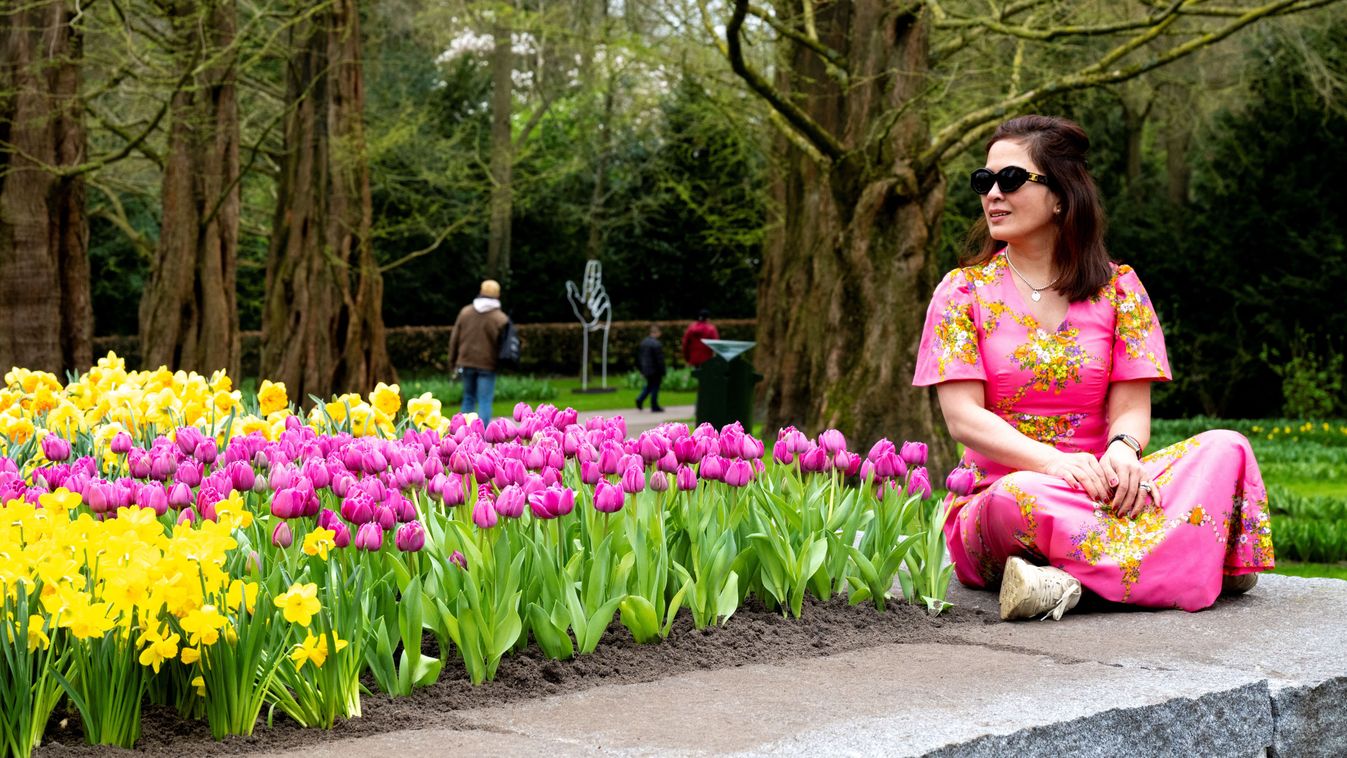 Keukenhof, Füvészkert, Lisse, Hollandia, világ legnagyobb virágoskertje, virág, virágzás, tulipán, évforduló, 2024. 03. 21. 