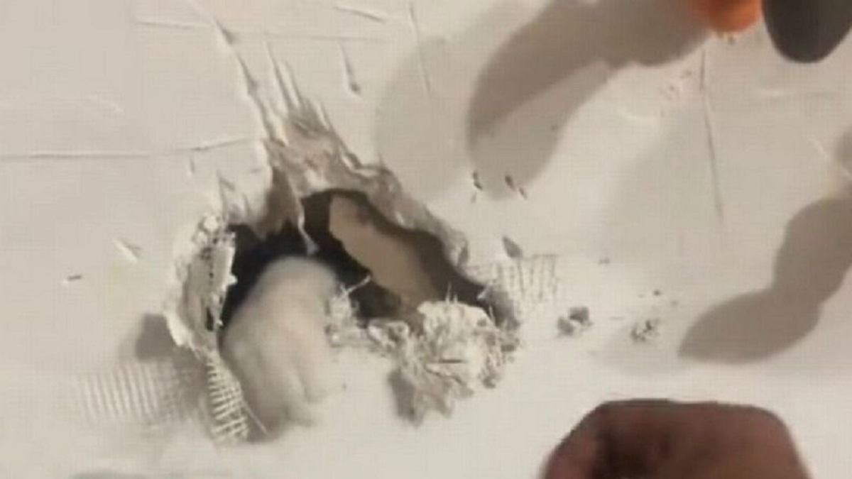 Zajt hallott egy fal mögül, majd jött a sokkoló felfedezés - videó