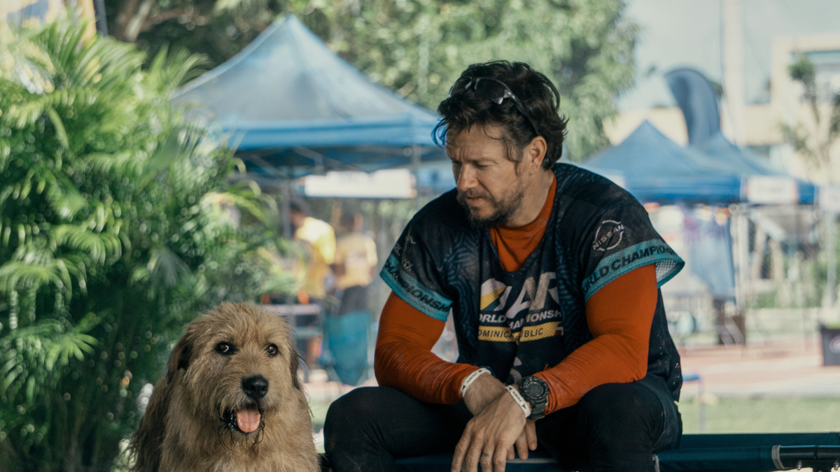 Mozikban Mark Wahlberg kutyás sportfilmje - képek