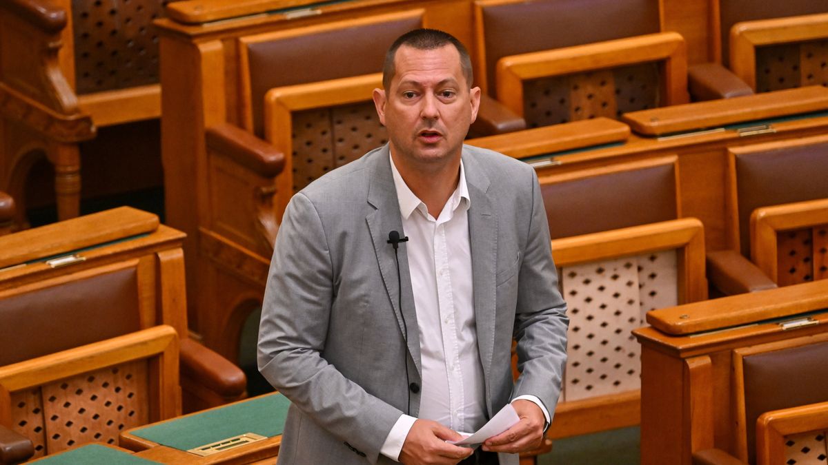 Felfüggesztették a szocialista Molnár Zsolt mentelmi jogát