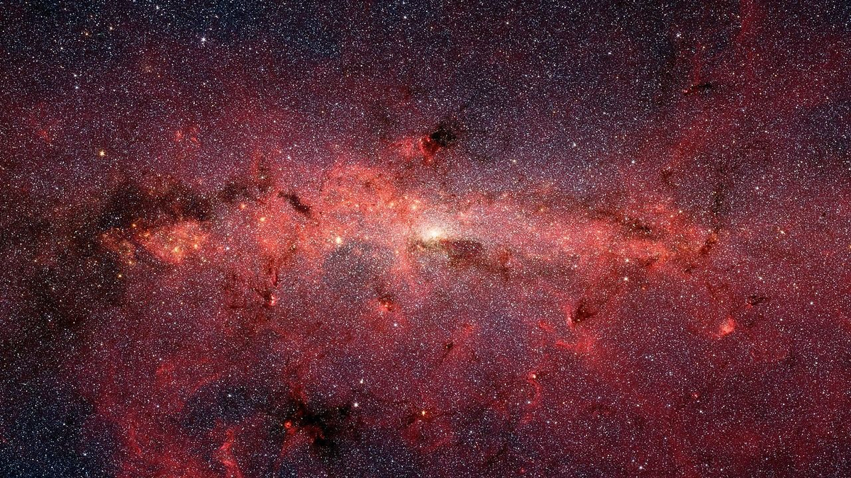 Közeli csillagtalálkozó okozhatta, hogy pálmák nőttek Skandináviában