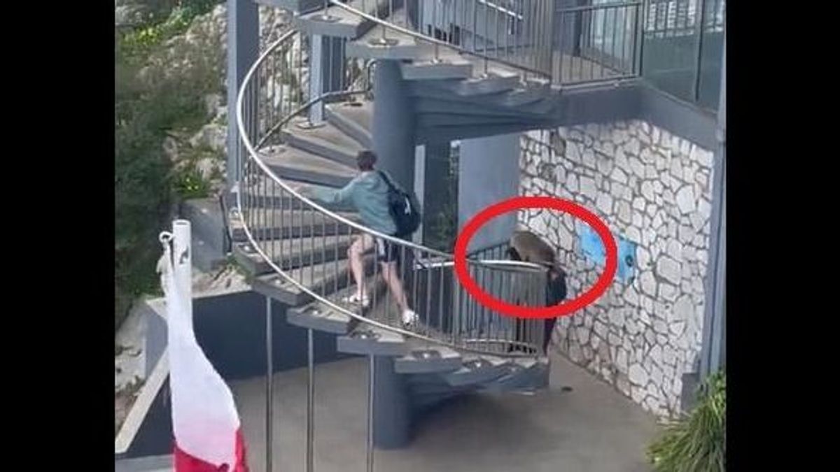 Fel akartak menni a lépcsőn a turisták, aztán olyan történt, amit nem felejtenek el - videó