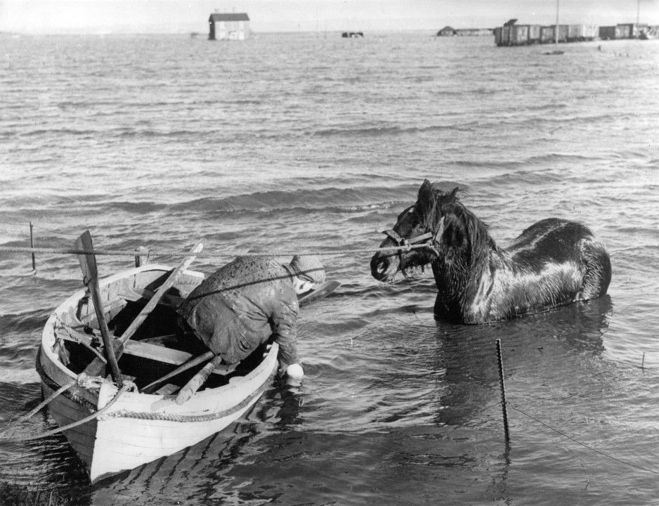 North Sea flood of 1953, 1953-as holland árvíz, 1953hollandárvíz
