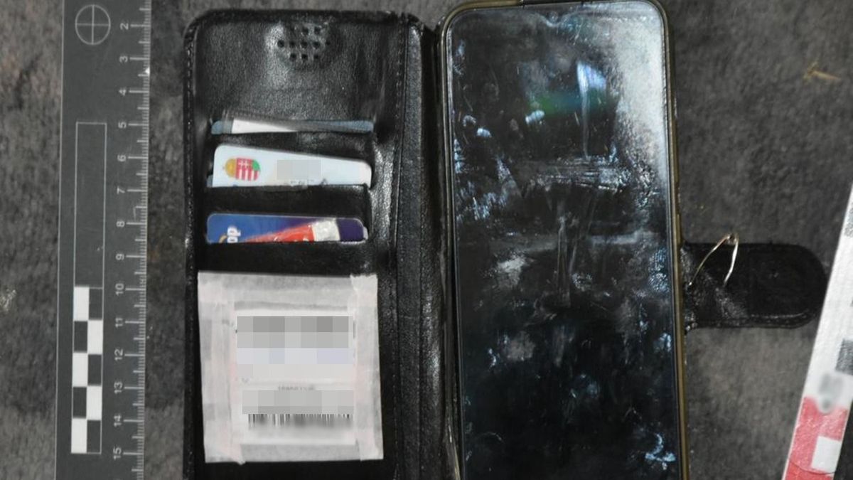 Lopni akart a betörő, de zsákmány helyett neki sikerült otthagyni minden iratát