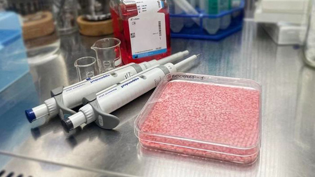 Íme a legújabb laboratóriumi hús, a marhahús-rizs, ön megkóstolná?