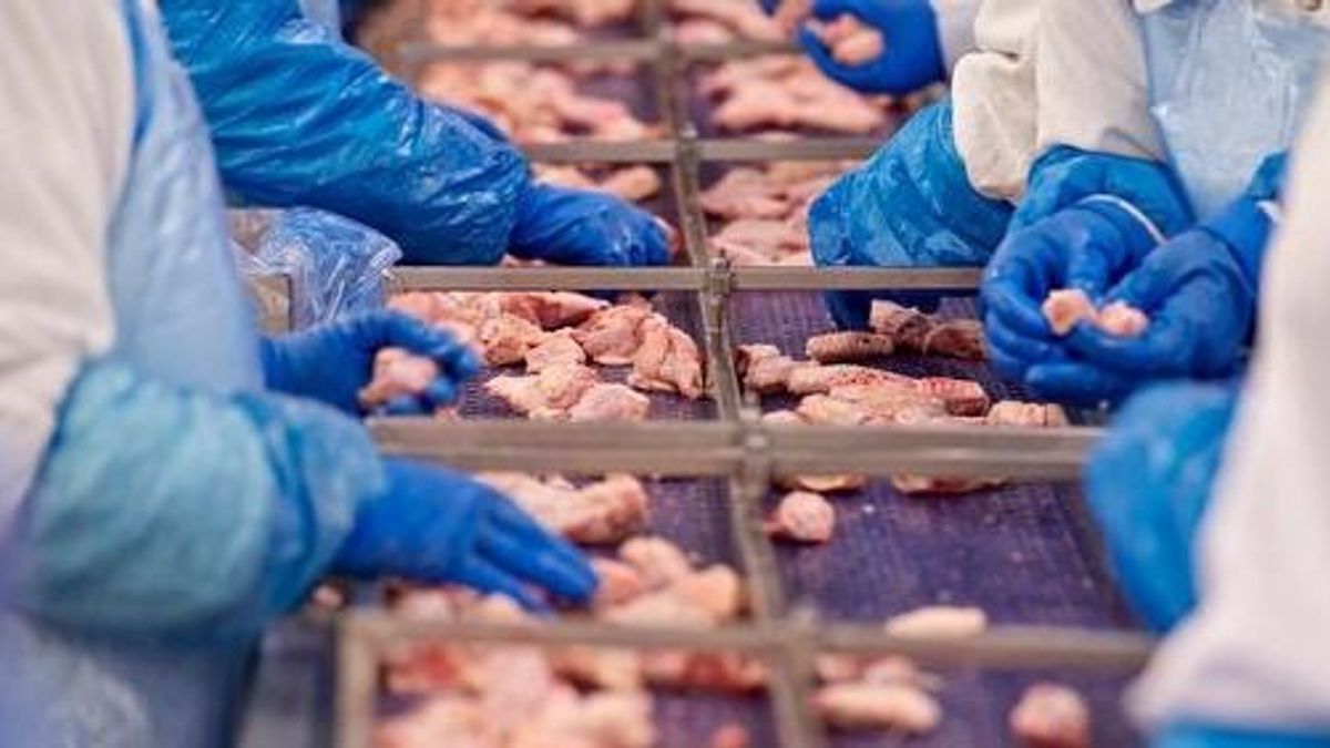 Mérgezést kaptak a munkások a kisvárdai baromfifeldolgozóban