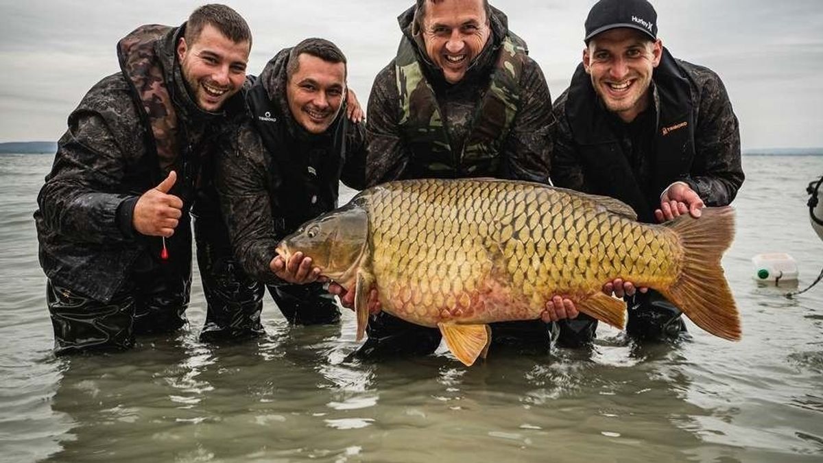 Világverseny lesz a Balatonon, a Föld másik feléről is érkeznek a pontyvadászok