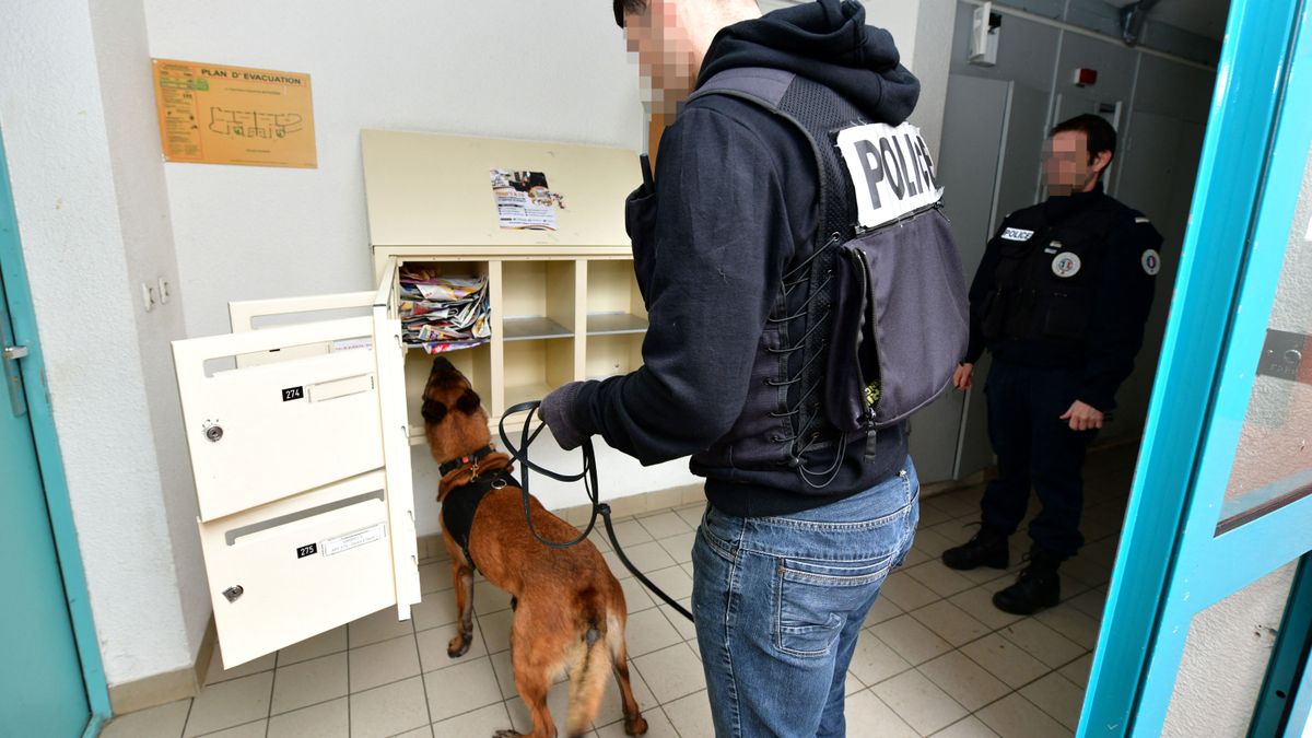 Történelmi drograzzia Franciaországban, több mint 7000 dílert kaptak el