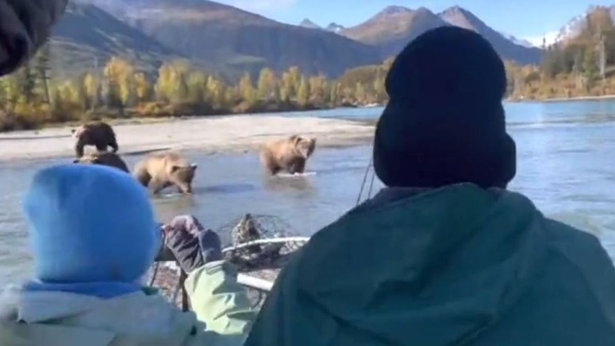 Üldözőbe vették a medvék a horgászokat – videó – ORIGO