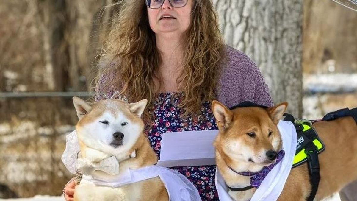 Kutyaesküvőt tartottak Wisconsin államban
