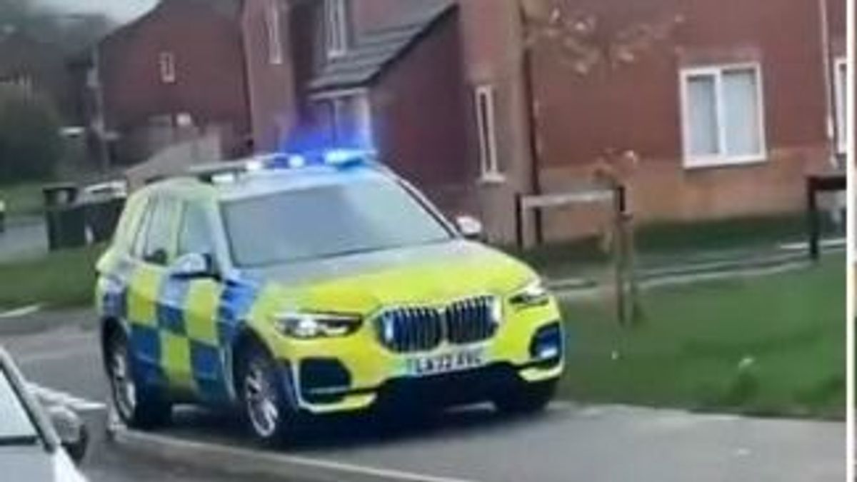 Gyerekek loptak el egy rendőrautót - döbbenetes videó