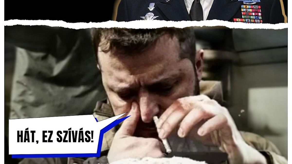 Napi balfék: Zé, a hazafi