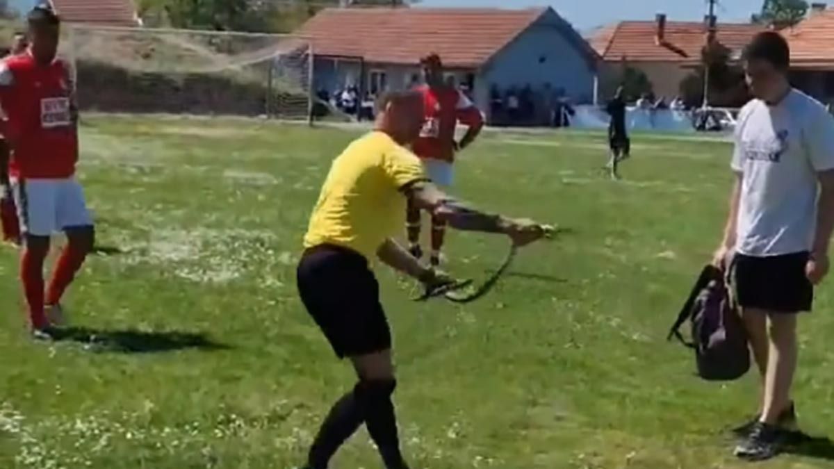 Káosz a futballpályán: kígyó harapta meg a bírót - videó