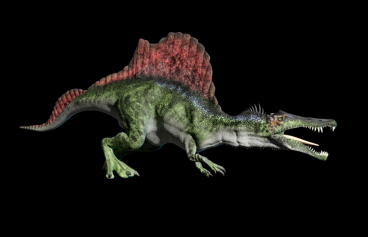 Artwork of spinosaurus aegyptiacus