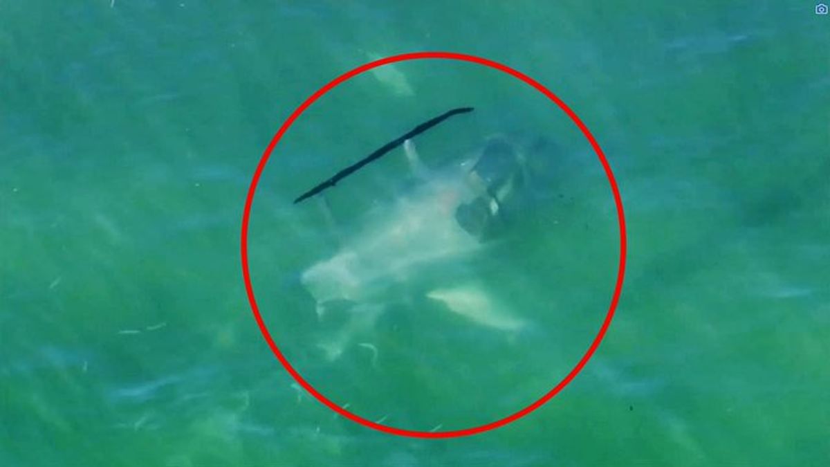 Strandolók közé zuhant egy helikopter Floridában - videó
