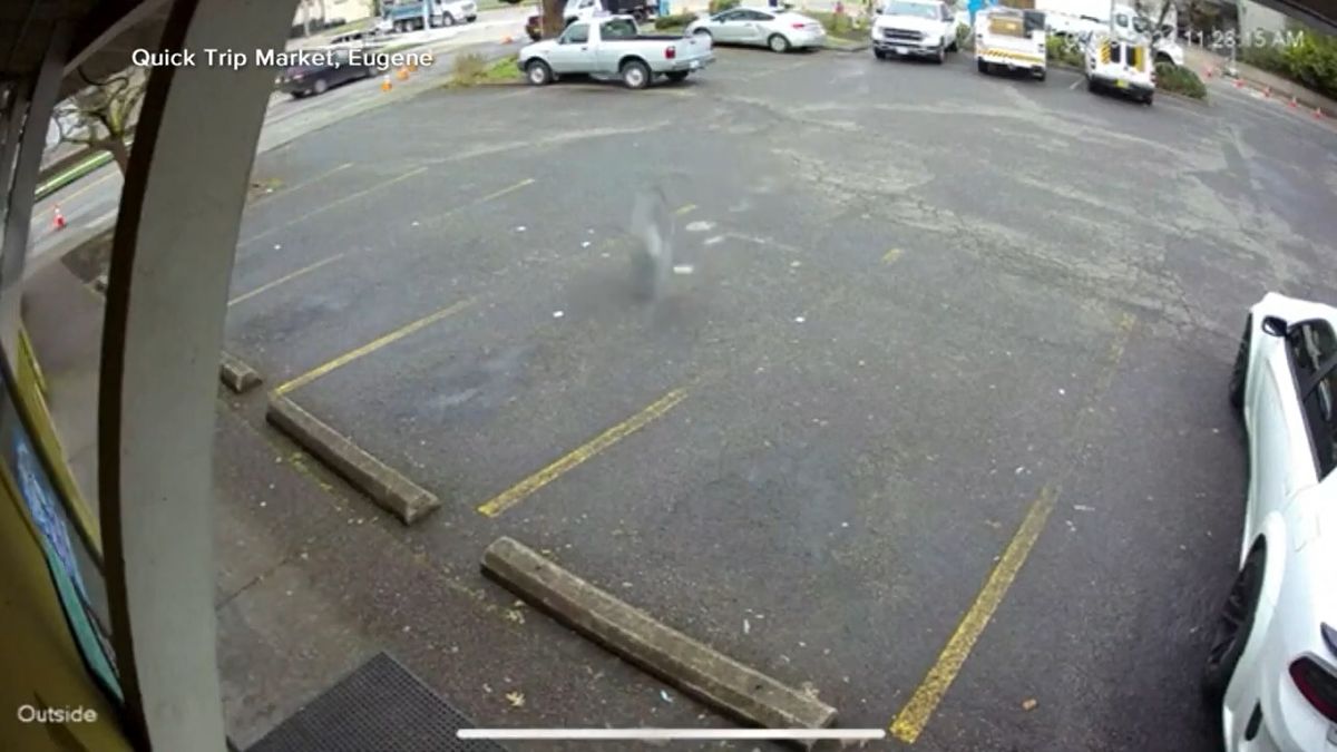Majdnem megölt valakit egy elszabadult fűrészlap - videó