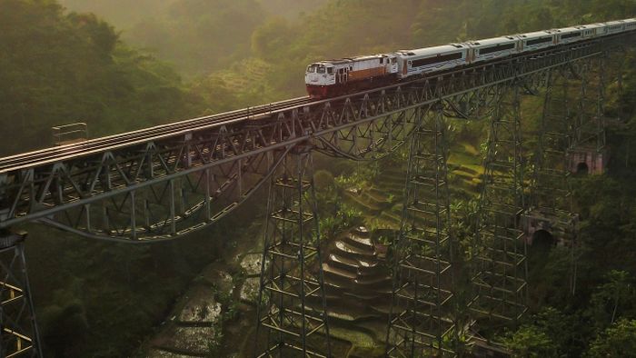 Bámulatos képeken a 300 méter hosszú, őserdő felett áthaladó vasúti híd