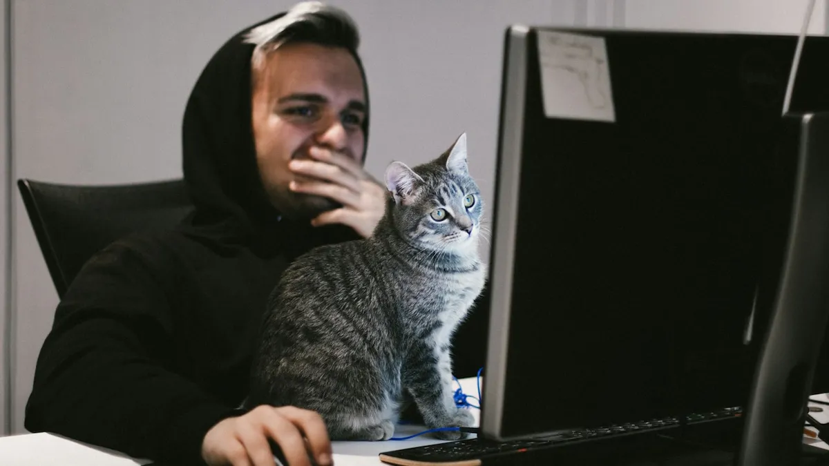 Az EU-ra mutogat az informatikai katasztrófáért a Microsoft