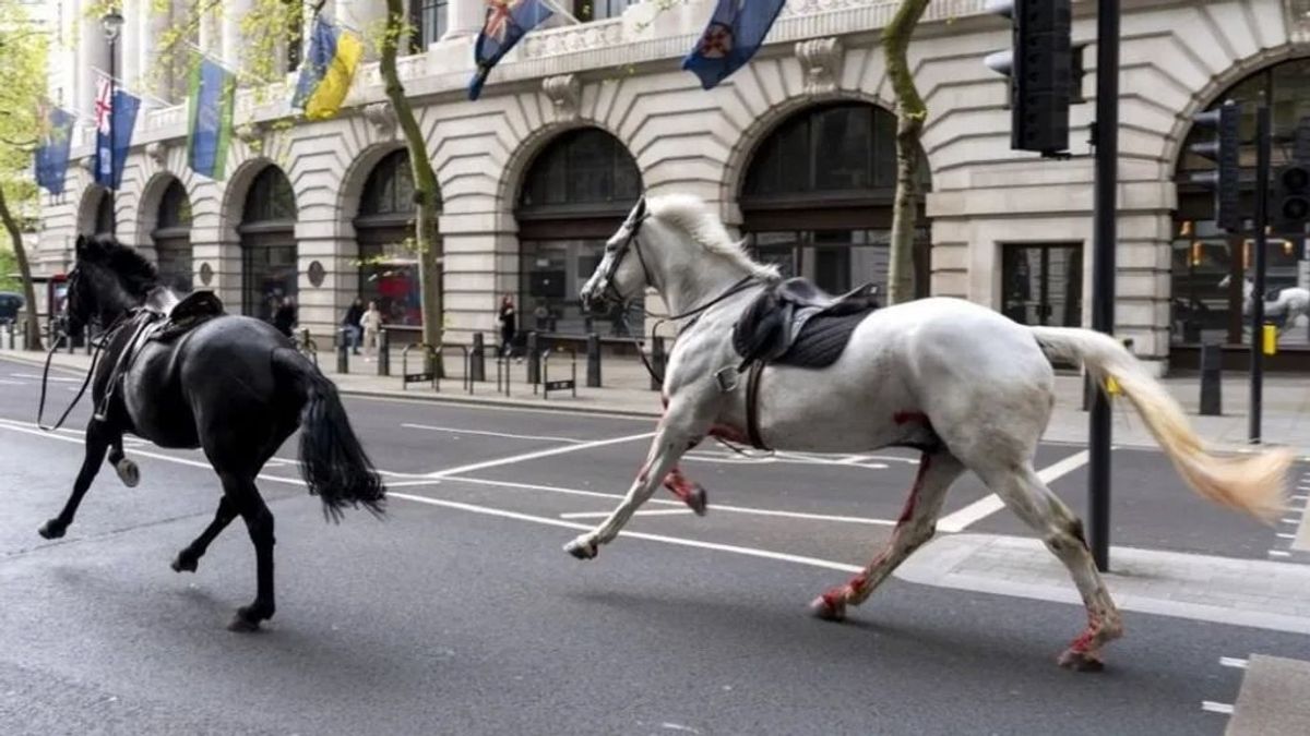 Elszabadult lovak sebesítettek meg egy embert London belvárosában