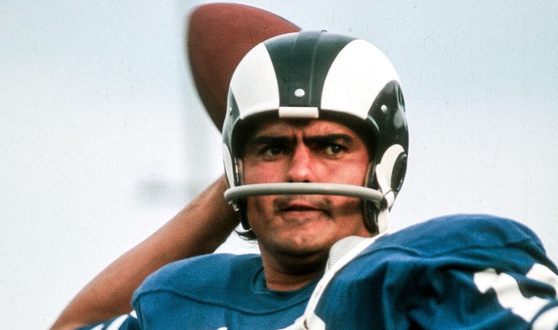 Roman Gabriel, NFL