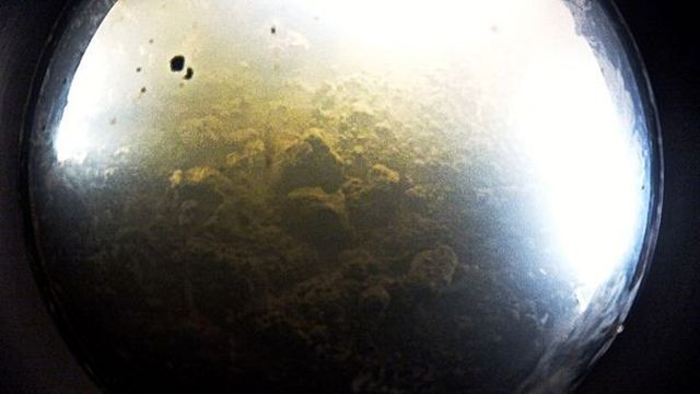 Alberto Behar, JPL/ASU (Underwater Camera Funded by NSF and NAS)