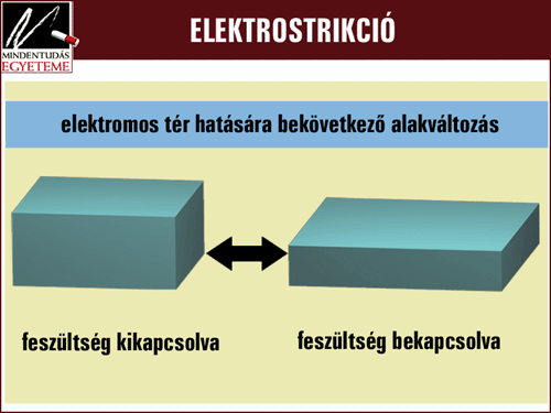 Forrás: ORIGO