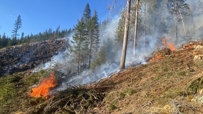 Erdőtűz pusztít Romániában - videó