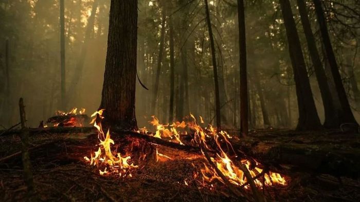Óriási erdőtüzek pusztítanak Kanadában - videó
