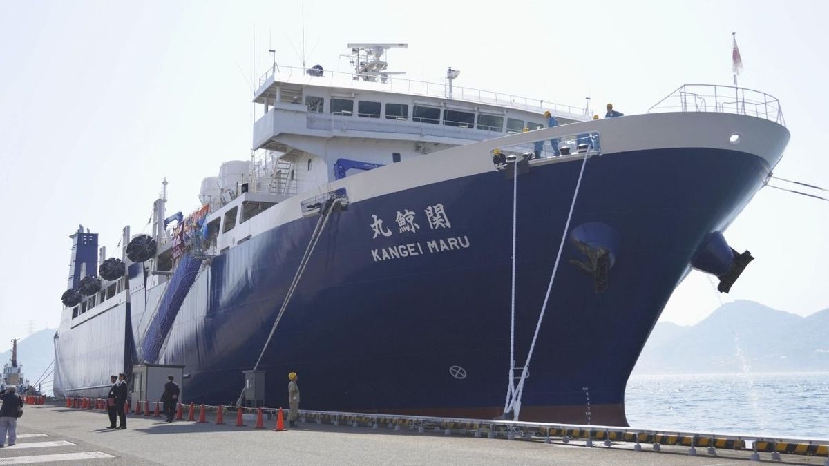 Kangei Maru, KangeiMaru, Japán legújabb bálnavadász hajója, Japánbálnavadász