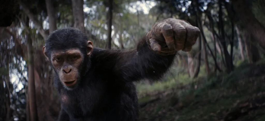 LA PLANETE DES SINGES, LE NOUVEAU ROYAUME - KINGDOM OF THE PLANET OF THE APES (2024)