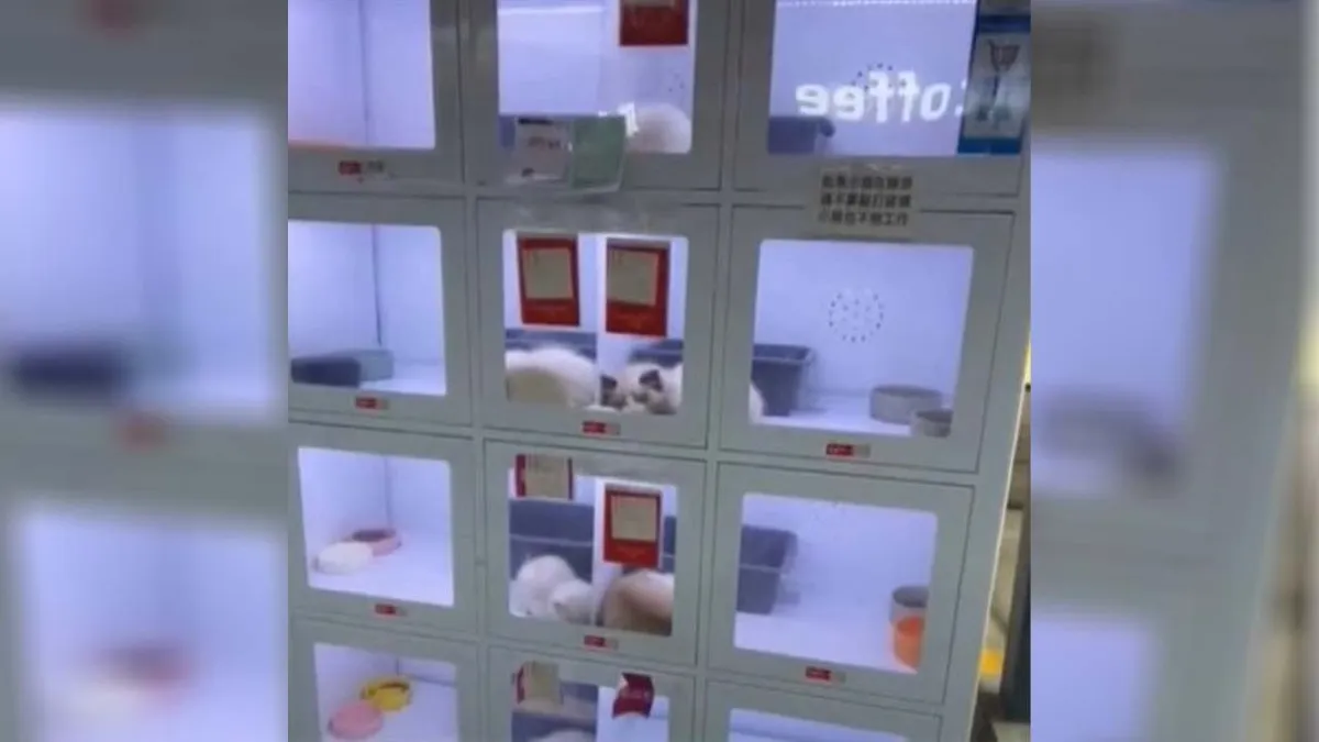 Élő állatokat lehet venni ezekből az új automatákból - videó