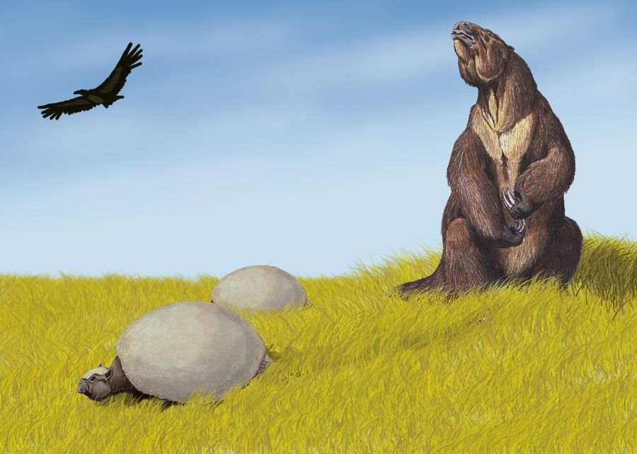 Dél-Amerika pleisztocén korszaka, köztük a Megatherium és két Glyptodon