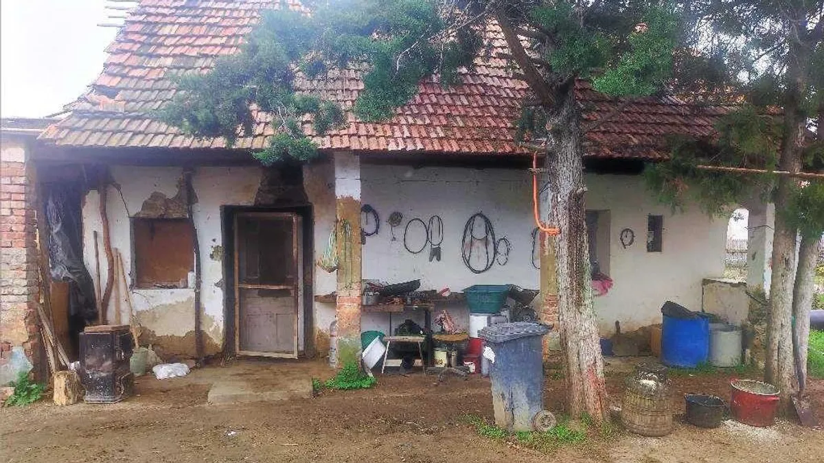 Csicskáztatásból tartotta fenn a gazdaságát egy nyírségi férfi