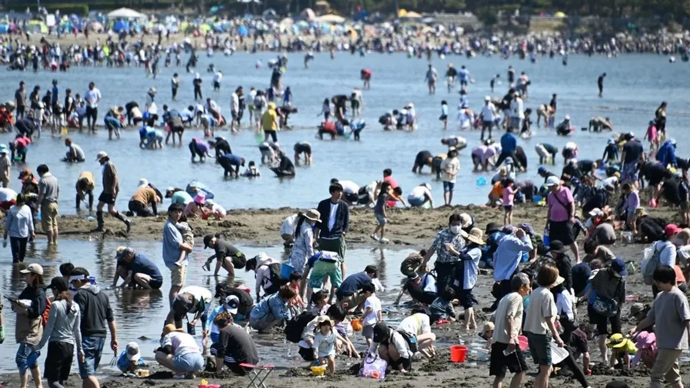 Kagylóásás Japánban