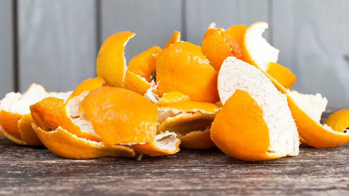 A narancshéj egy új, bioaktív vegyületet, feruloilputreszcint (FP) tartalmaz