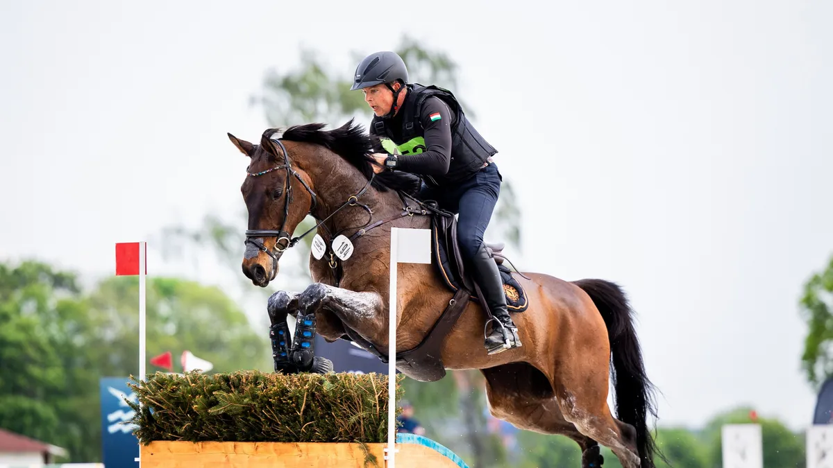 Bombajó lovak, nagyszerű formában az olimpiára készülő magyar lovas