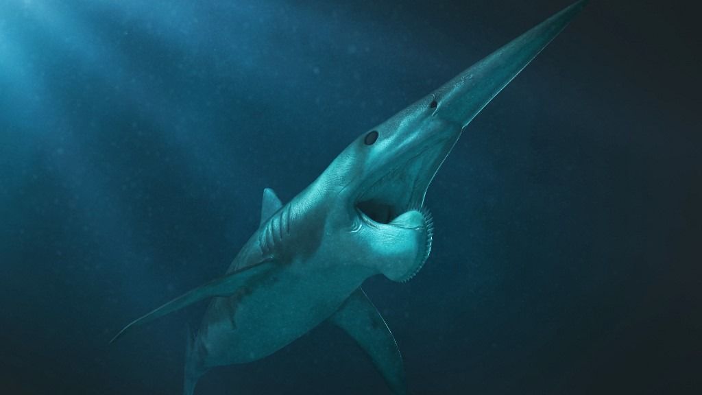 Helicoprion prehistoric fish, illustration