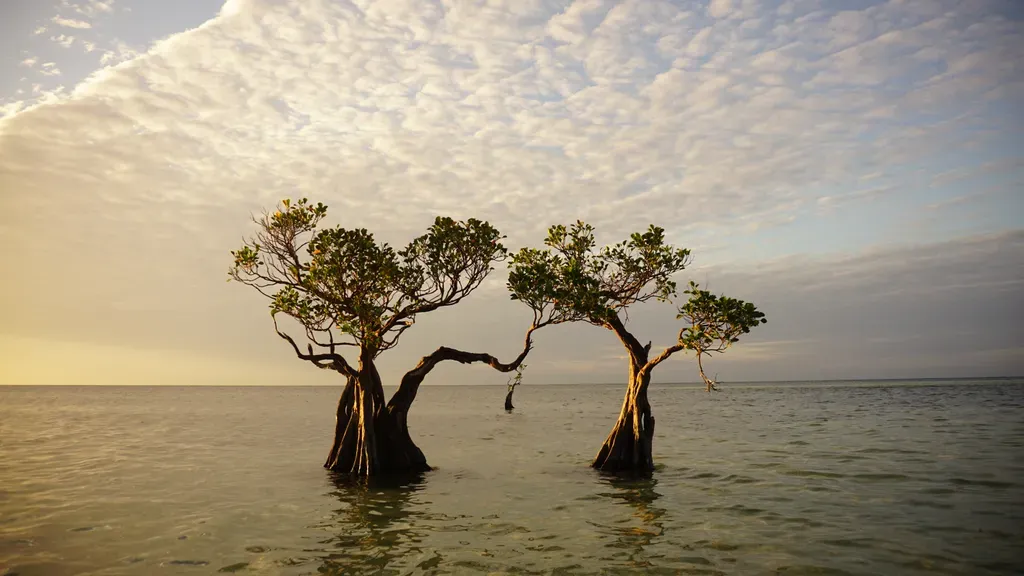 Walakiri Beach