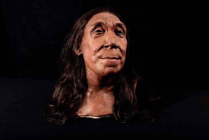 A neandervölgyi Shanidar Z rekonstruált feje a koponyája alapján