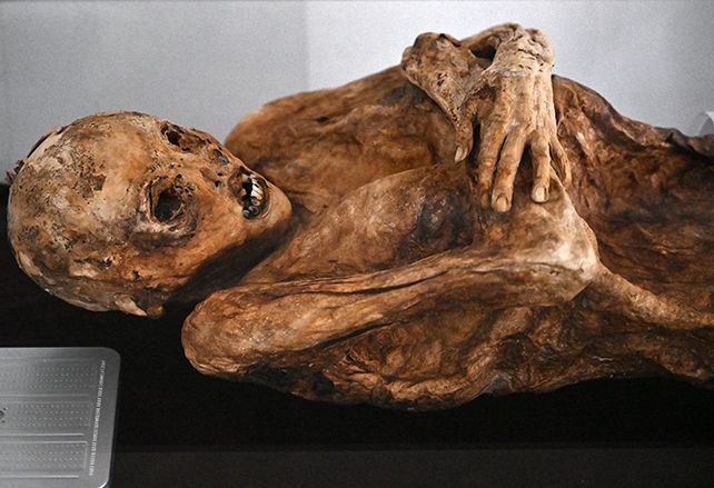 Egy azonosítatlan múmiát mutatnak be a Jose Arquimedes Castro mauzóleum múzeumában