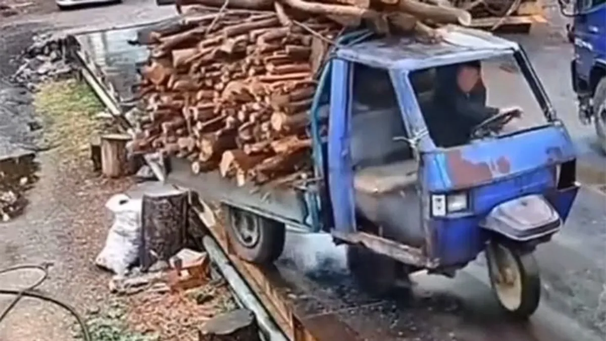 Csak ki kellett volna tolatni azzal a rengeteg fával, talán sose derül ki, mit nézett a sofőr - videó