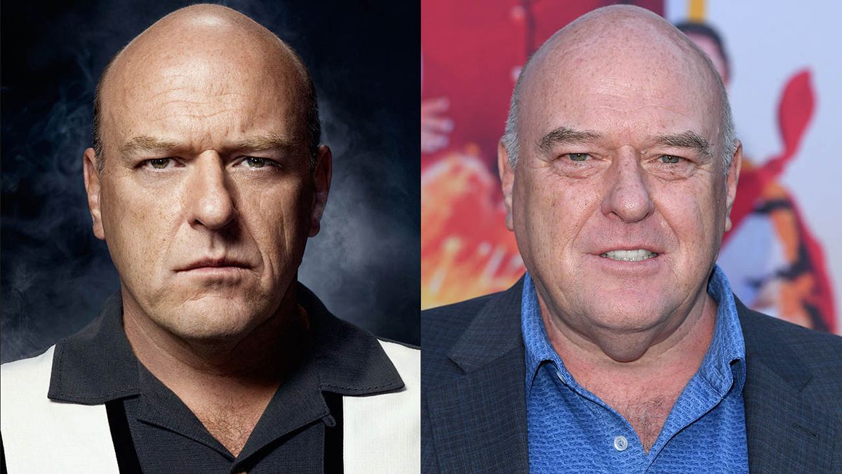 Dean Norris, DeanNorris, Breaking Bad-Totál szívás című sorozat