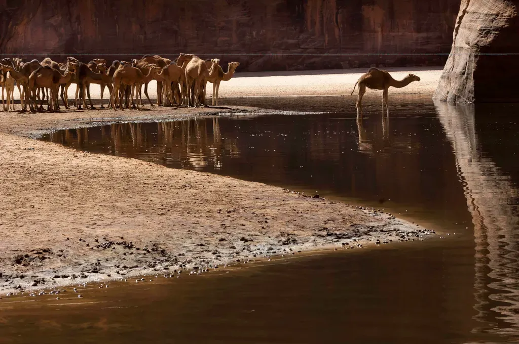 A Guelta d'Archei Csádban