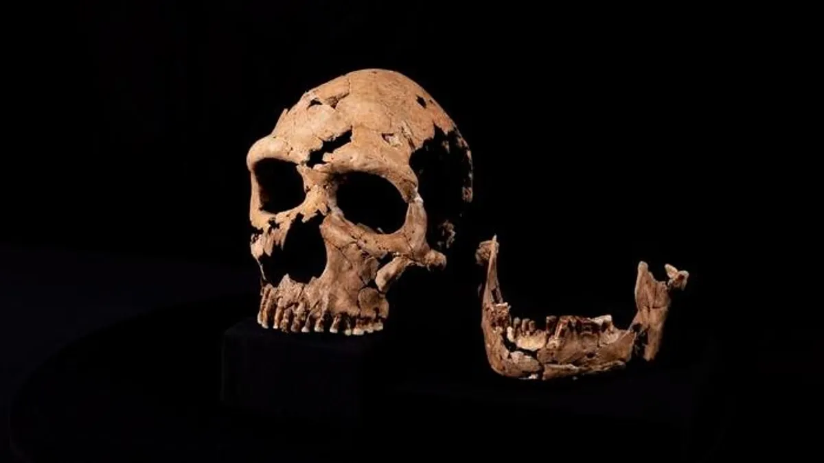Rekonstruálták egy 75 ezer éves neandervölgyi nő arcát
