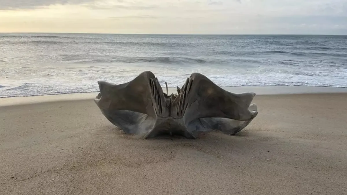 Vérfagyasztó koponyát találtak a strandon