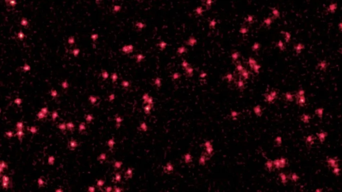 Lenyűgöző fotókon látható, hogy az atomok kvantumhullámokká alakulnak – éppen ahogy Schrödinger előrejelezte