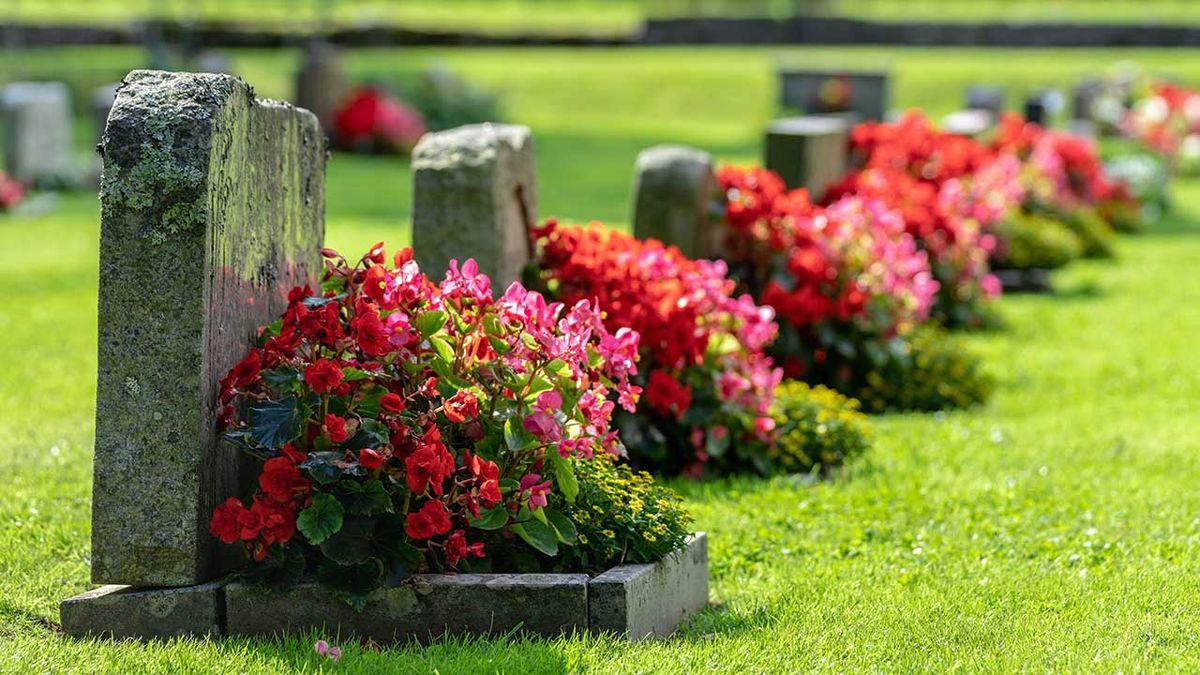 temető, virág, sír, 