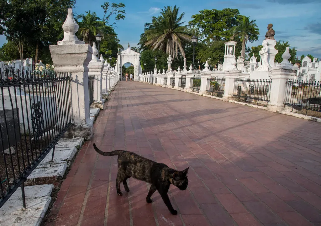 Santa Cruz de Mompox temetője